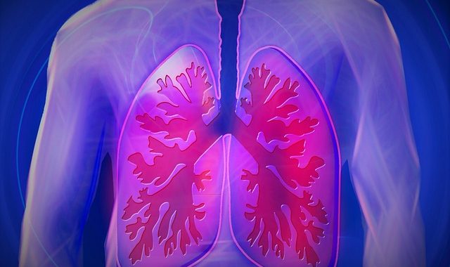 9 Amazing Facts About Your Lungs