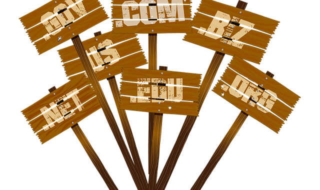8 Things to Consider While Choosing a Domain Name